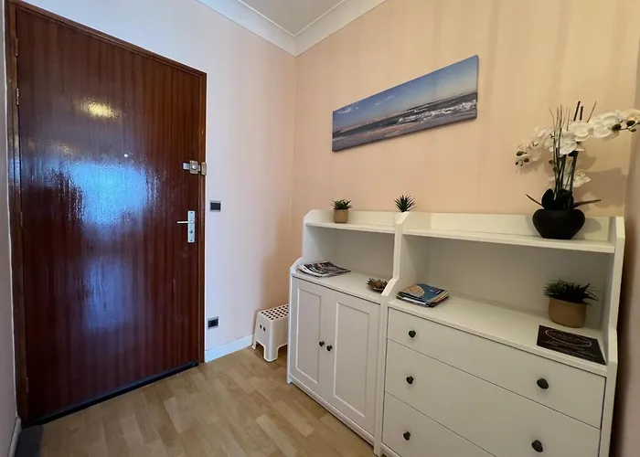 Apartment Cosy Hyper Centre D'arcachon, Proche Et Commerces - Fr-1-474-262 Arcachon